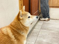 -SPARROW 家雀儿咖啡本店