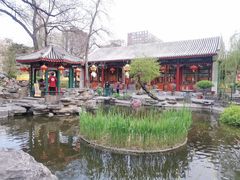 -白家大院·王府宫廷菜(苏州街店)