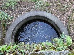 -九华山风景区月身宝殿