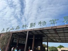 -苏州上方山国家森林公园