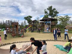 -上海长兴岛郊野公园