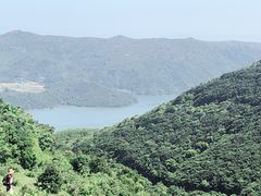 -大姆山草场