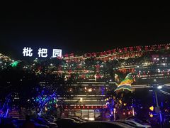 -枇杷园食为鲜火锅(南山店)