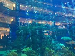 -成都浩海立方海洋公园