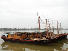 -大湾区中央湿地公园-十九涌