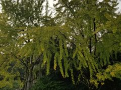 -食膳公园包子铺(烈士公园店)