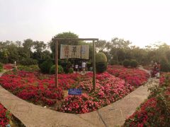 -广东花都香草世界旅游度假区