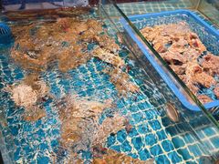 -争先鲜·蒸汽海鲜自助·鲜切牛肉