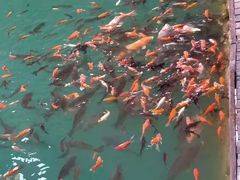 -山西通天峡景区