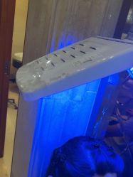 -碧莲盛·不剃发植发