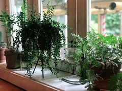 -餐酒吧Com-ing Bar(上海路店)