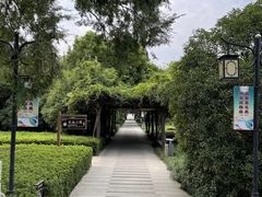 -白马涧龙池景区