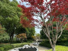 -阳澄湖半岛旅游度假区