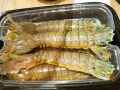 -渔娘渔家丹东海鲜(东直门店)