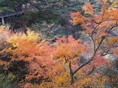 -尧山风景区