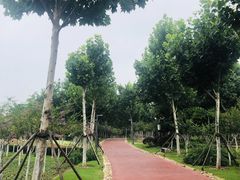 -滨湖塘西河公园