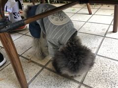 -默迹咖啡馆
