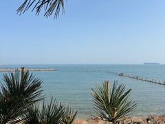 -青岛第二海水浴场