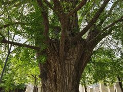 -北京石刻艺术博物馆(五塔寺)