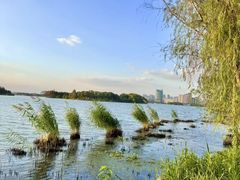 -长广溪湿地公园