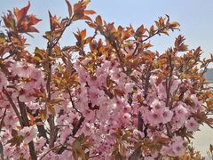 -咸阳湖景区-统一广场