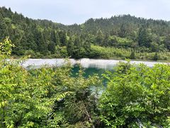 -武陵山森林公园