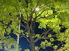 -苍井寿司(珠海金域华府店)