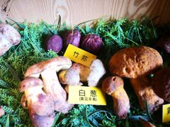 -菌海森林·非遗野生菌火锅(西山区滇池路摩根道店)