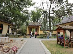 -岳麓山风景名胜区