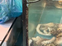-名家韩国料理·烤肉(瑶海店)