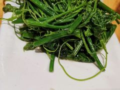 木姜油丝瓜尖-金悦印象小馆(三里河店)