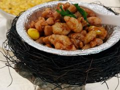 -丁老爷子苏香圆