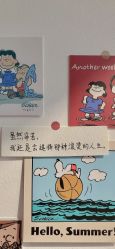 -小梨·OndaPro·专业脱毛连锁机构