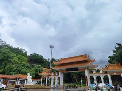 -深圳仙湖植物园