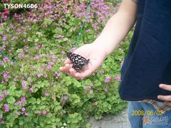 -上海昆虫博物馆