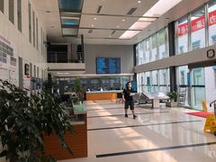 -同济大学附属同济医院分院