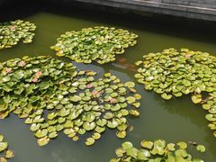 -卓刀泉寺