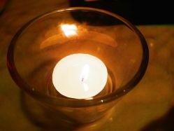 -悦芳庭美肤美体品牌集合店