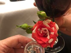 -花到家(富贵鸟花艺行)