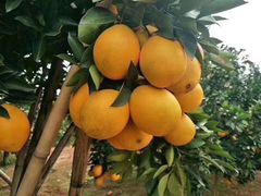 -海底捞火锅(方圆荟店)