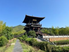 -大唐贡茶院