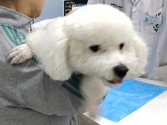 -中农国际动物医院24小时·猫科·骨科·急重症中心