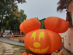 -HERRE·FARM 赫尔露营农场·团建聚会包场