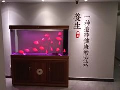 -金蚁康•经络调理•肩颈按摩(万达金街店)