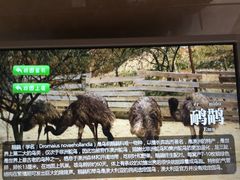 -西安秦岭野生动物园