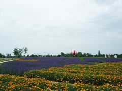 -歌斐颂巧克力小镇