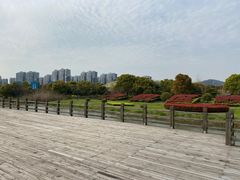 -太湖湖滨国家湿地公园-停车场