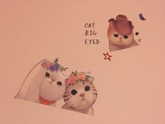 -三花喵·撸猫购宠·宠物生活馆(虹桥南丰城店)
