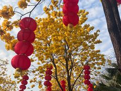 -荔湾区儿童公园