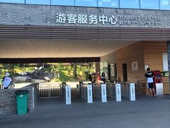 -都江堰中华大熊猫苑
